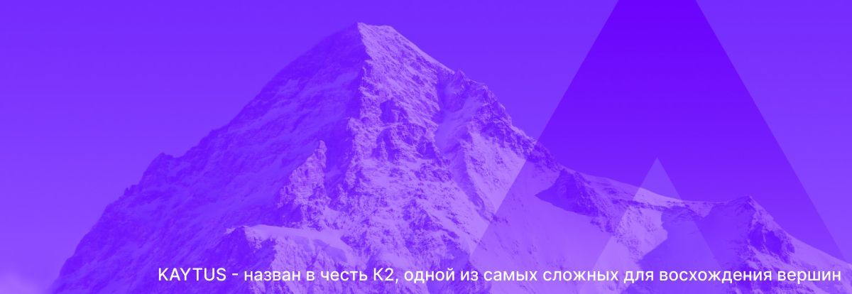Серверы Kaytus от Inspur меняют рынок серверного оборудования