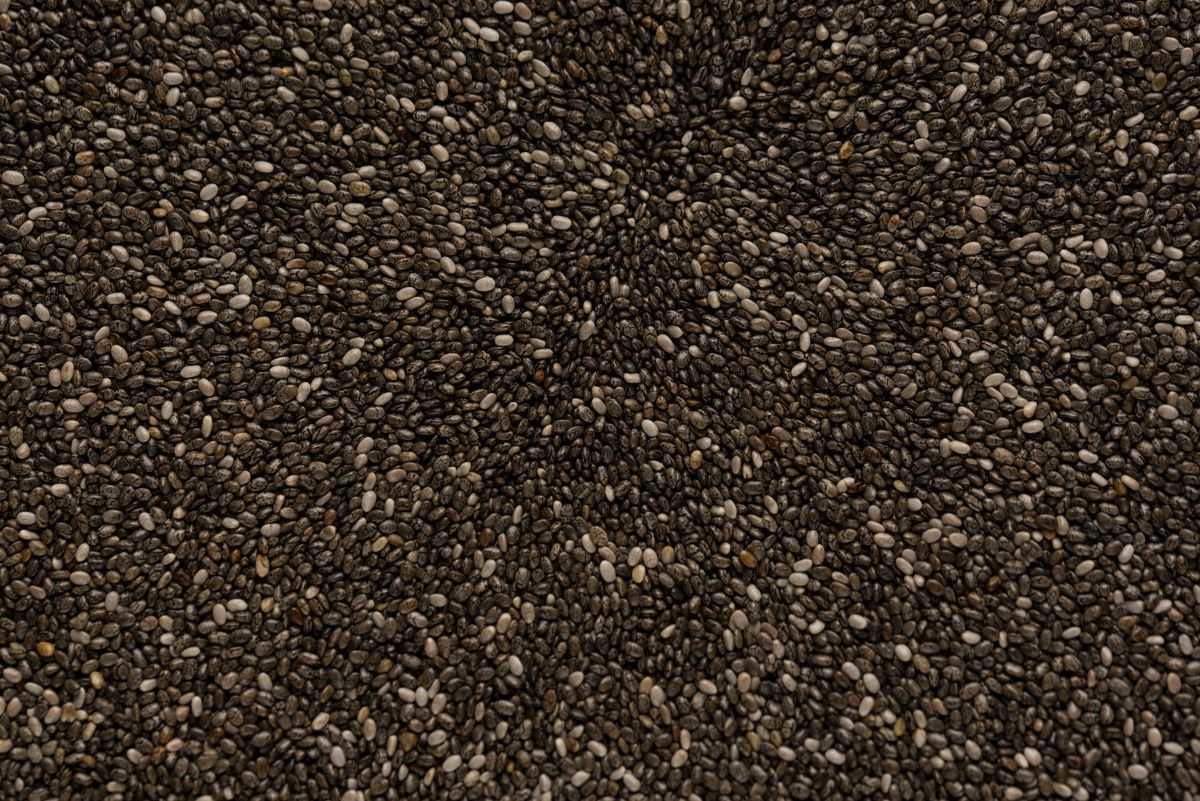 Что нужно для майнинга Chia?