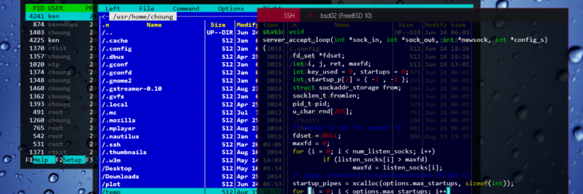 Что такое SSH 
